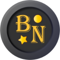 Bear Network Logo
